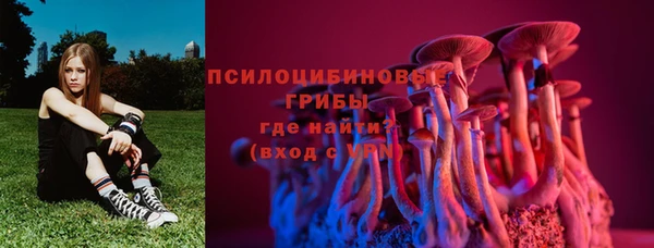 ГАЛЛЮЦИНОГЕННЫЕ ГРИБЫ Богданович