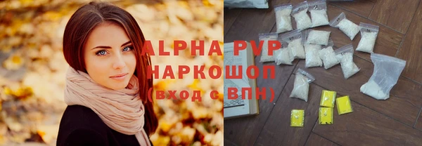 ГАЛЛЮЦИНОГЕННЫЕ ГРИБЫ Богданович