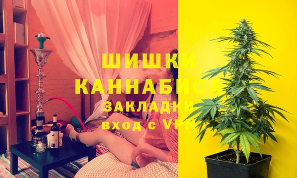 ГАЛЛЮЦИНОГЕННЫЕ ГРИБЫ Богданович