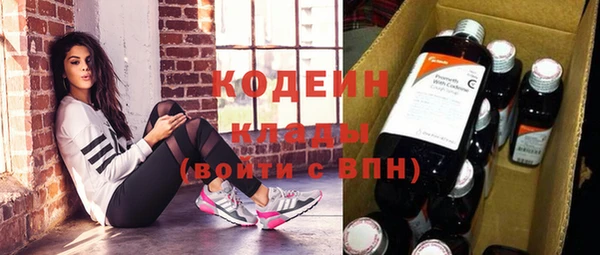 ГАЛЛЮЦИНОГЕННЫЕ ГРИБЫ Богданович