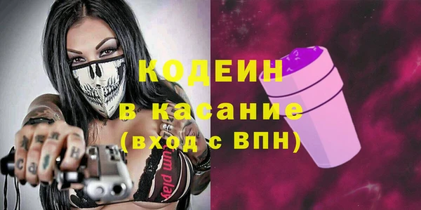 ГАЛЛЮЦИНОГЕННЫЕ ГРИБЫ Богданович