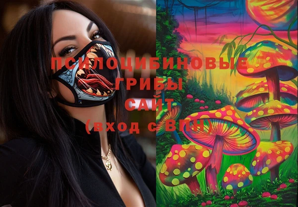 ГАЛЛЮЦИНОГЕННЫЕ ГРИБЫ Богданович