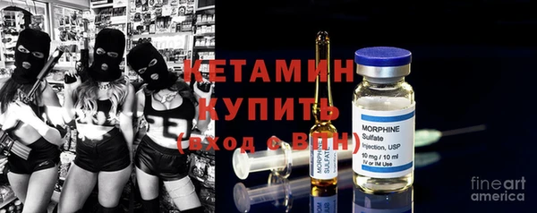 ГАЛЛЮЦИНОГЕННЫЕ ГРИБЫ Богданович